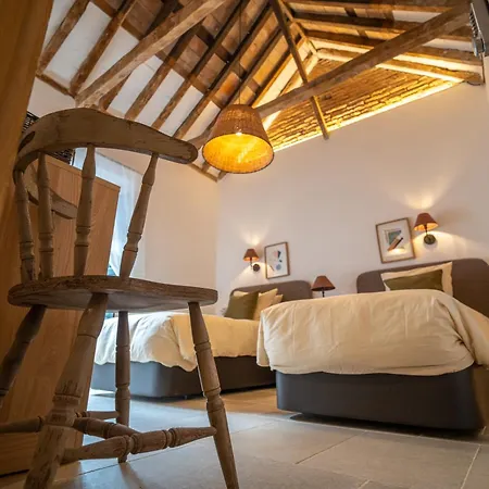 Mondejar 14 Coliving Centro Affittacamere